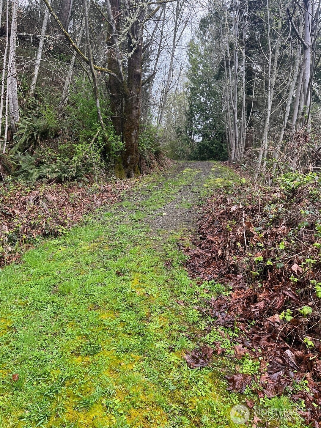 0 Northeast Solar View Poulsbo, WA 98370 - Photo 5 of 9