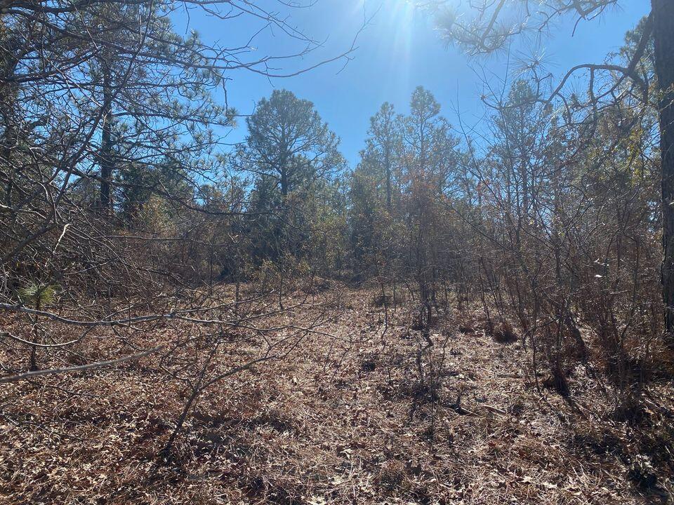 3015 Camp Josey Road Blythe, GA 30805 - Photo 1 of 1 Front