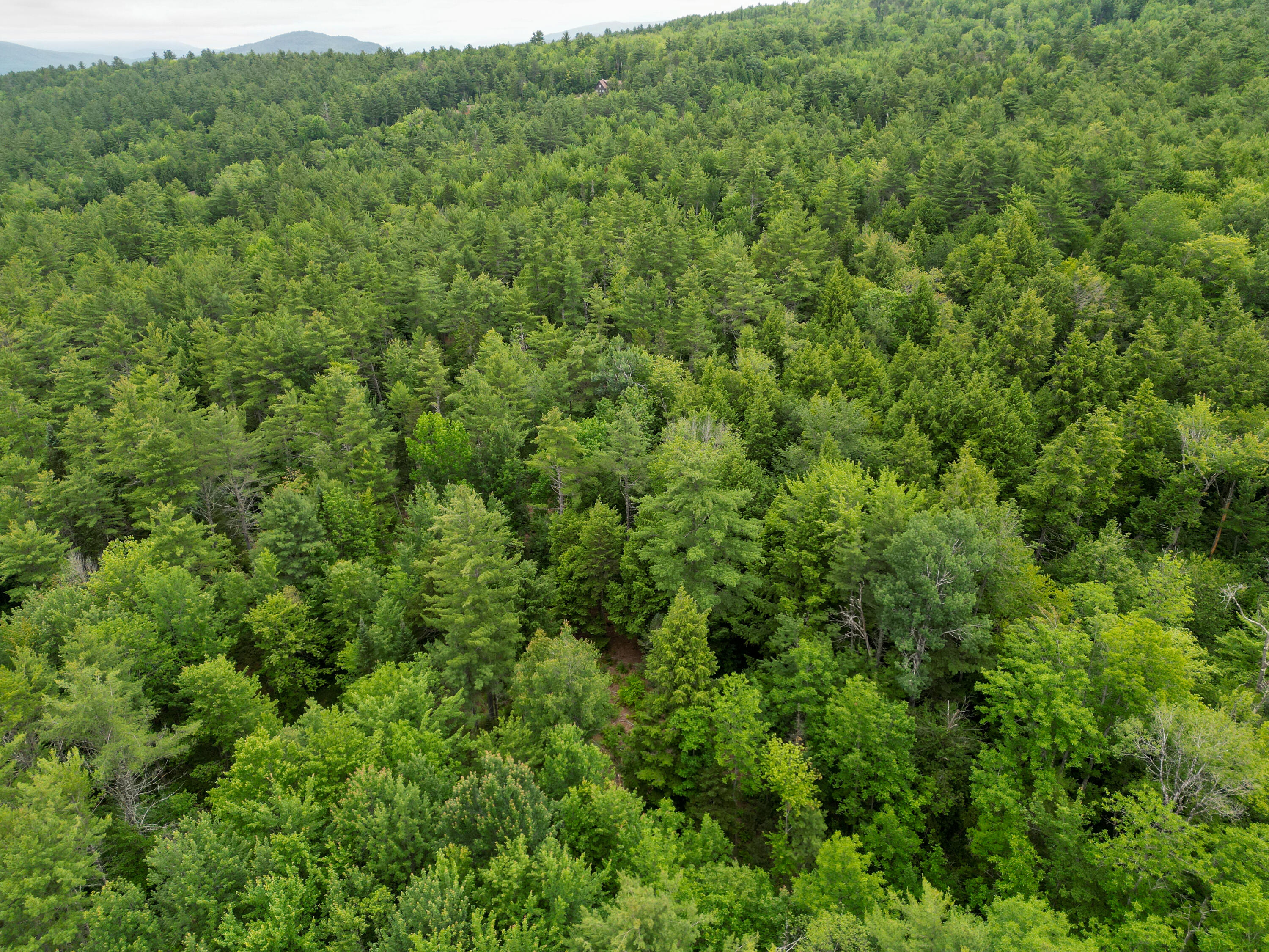 Lot 30 Irish Neighborhood Road Bethel, ME 04217 - Photo 5 of 24 DJI_0610