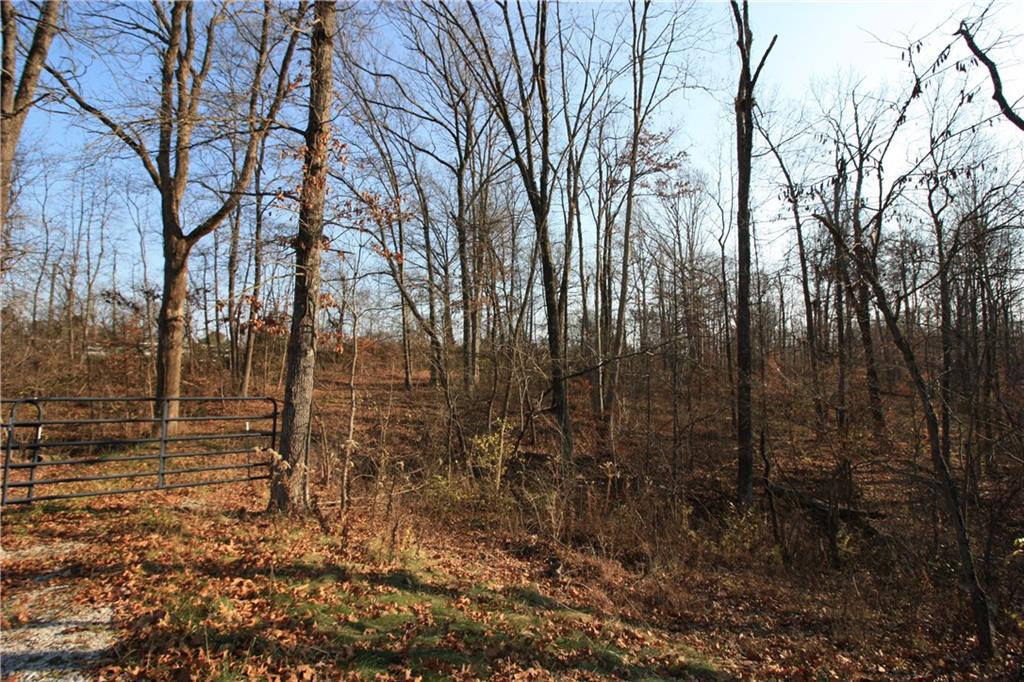 7303 Beech Tree Road Nineveh, IN 46164 - Photo 17 of 22 Gallery Image 17