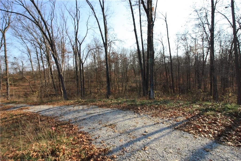 7303 Beech Tree Road Nineveh, IN 46164 - Photo 3 of 22 Gallery Image 3