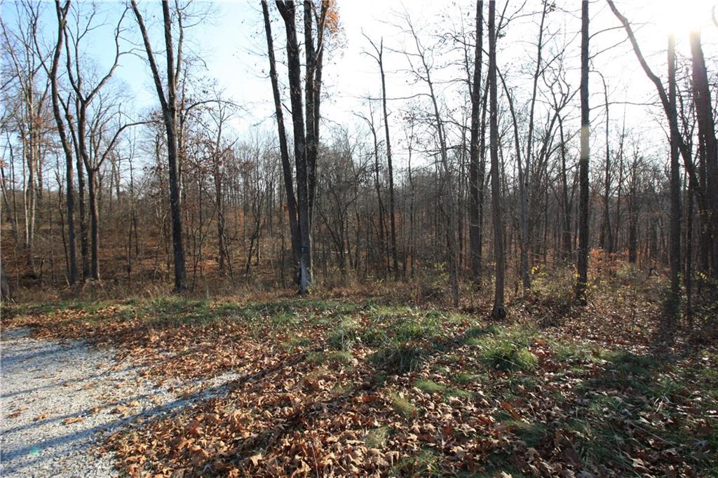 7303 Beech Tree Road Nineveh, IN 46164 - Photo 22 of 22 Gallery Image 22