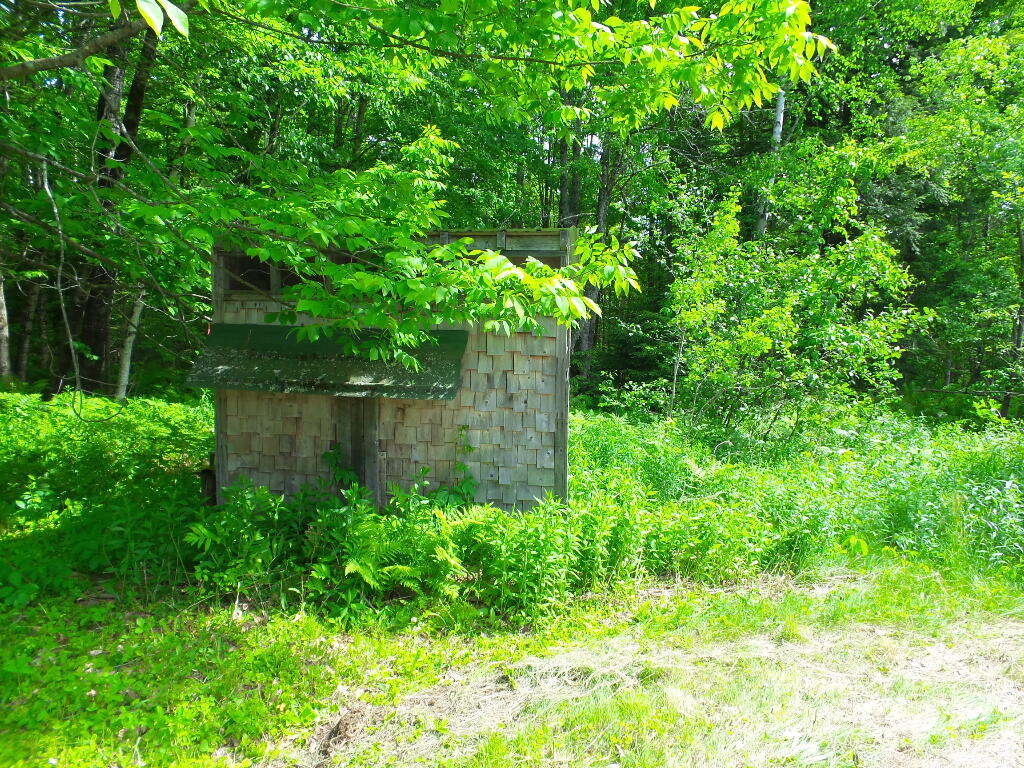 203 Bigelow Hill Road Norridgewock, ME 04957 - Photo 20 of 24 Chicken coop
