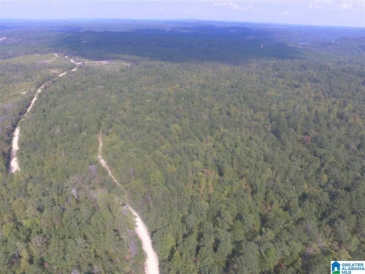 0 County Road 256, Unit 1 Clanton, AL 35045 - Photo 1 of 2