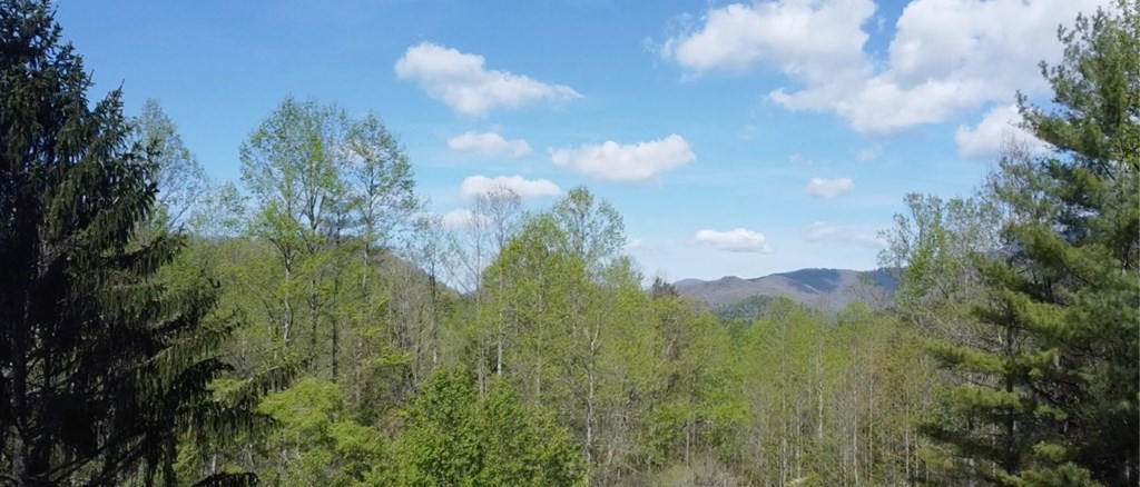 8158 Beaver Dam Road Murphy, NC 28906 - Photo 18 of 21