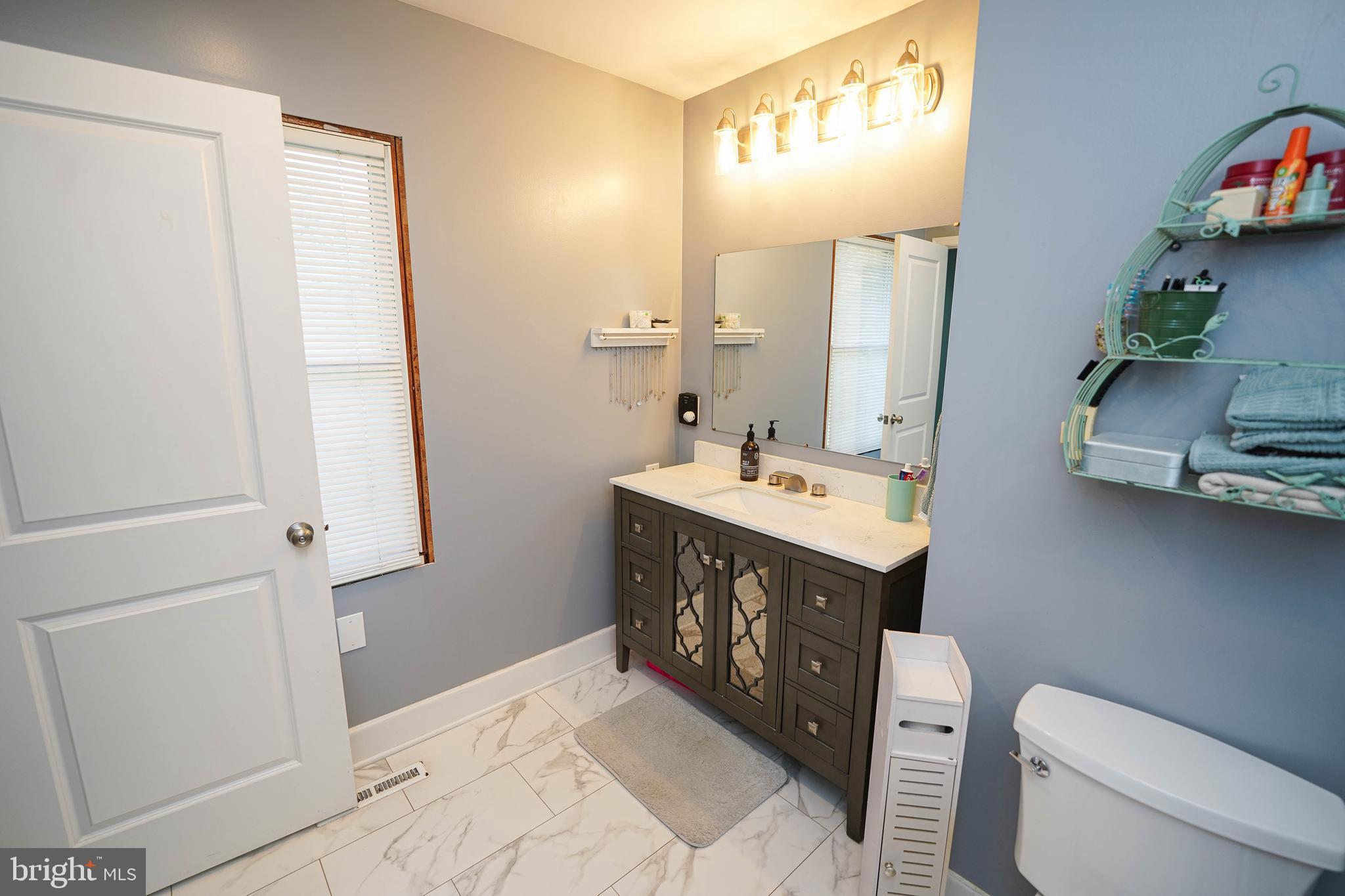 29325 West Line Road Delmar, MD 21875 - Photo 26 of 48 a bathroom with a double vanity sink mirror and toilet