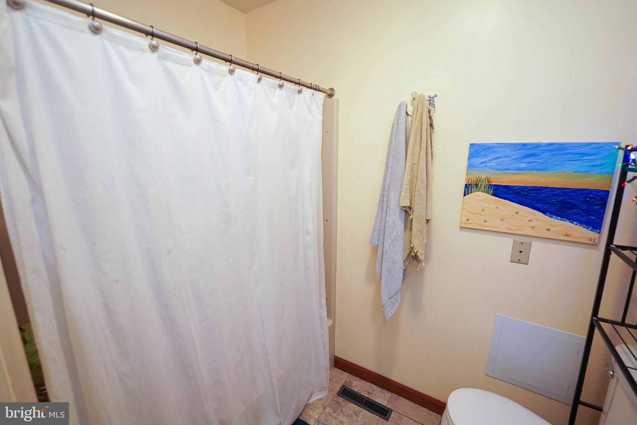29325 West Line Road Delmar, MD 21875 - Photo 41 of 48 a bathroom with a shower curtain and a curtain