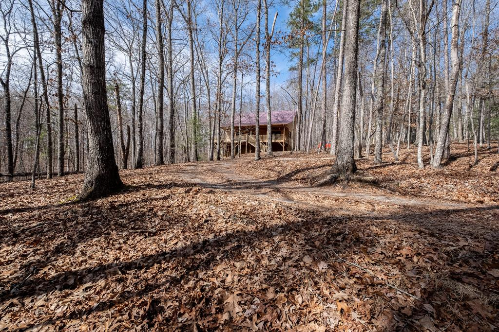 551 Timberwood Hills Road Murphy, NC 28906 - Photo 72 of 75