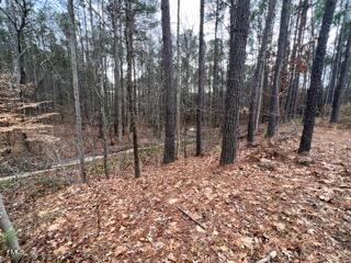 9504 Earpsboro Chamblee Road Wendell, NC 27591 - Photo 3 of 7 Creek