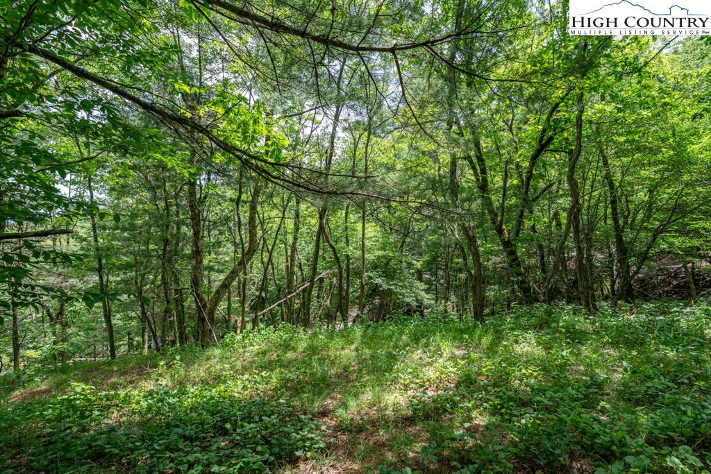Lot 36 Indian Springs Road Boone, NC 28607 - Photo 12 of 15