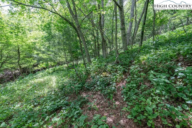 $79,900 | Lot 36 Indian Springs Road, Boone, NC 28607