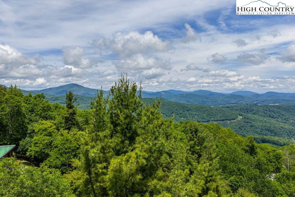Lot 36 Indian Springs Road Boone, NC 28607 - Photo 2 of 15 a view of a green field with lots of bushes