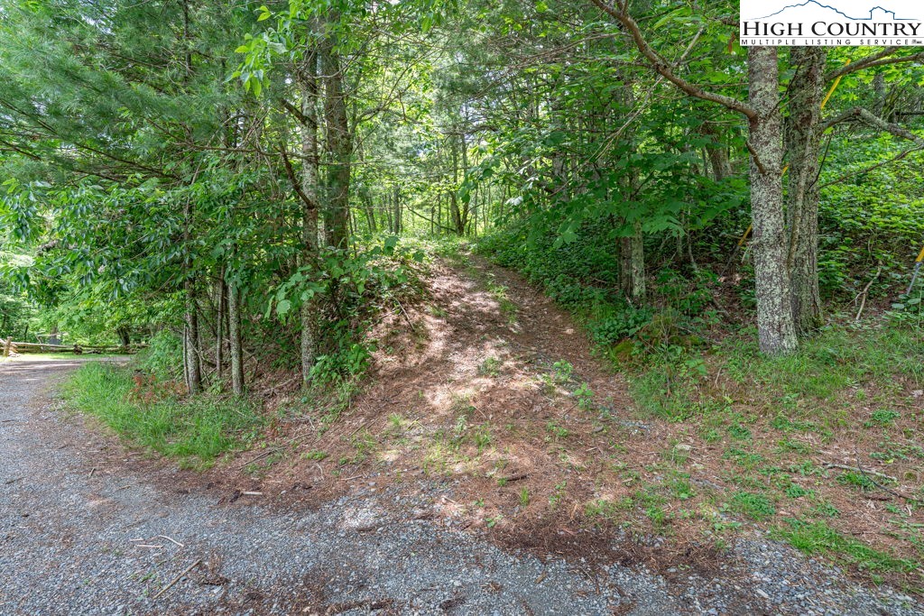 Lot 36 Indian Springs Road Boone, NC 28607 - Photo 5 of 15 a pathway of a yard