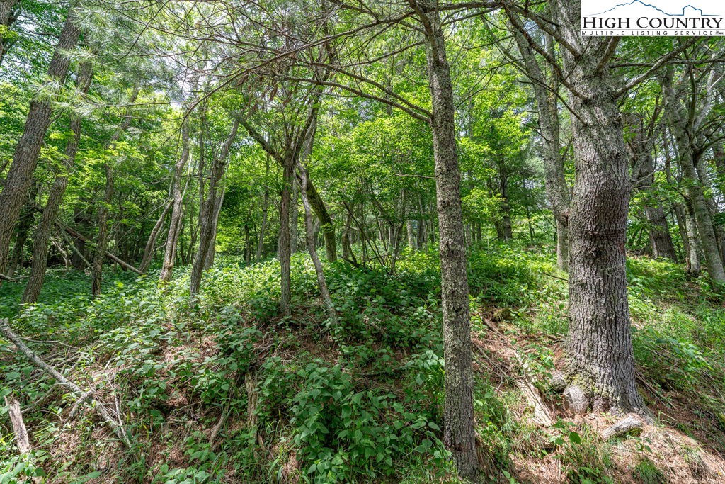 Lot 36 Indian Springs Road Boone, NC 28607 - Photo 7 of 15