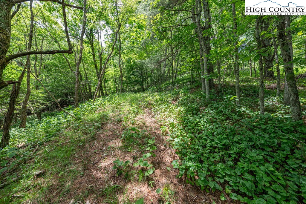 Lot 36 Indian Springs Road Boone, NC 28607 - Photo 10 of 15 a view of a garden