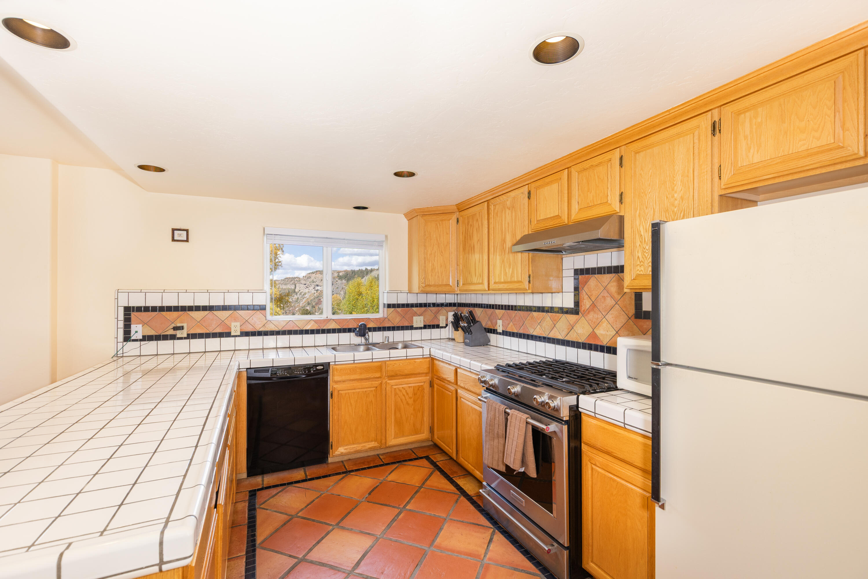 464 San Miguel Ridge, Unit 1 Telluride, CO 81435 - Photo 11 of 27 a kitchen with stainless steel appliances granite countertop a stove a sink dishwasher and a refrigerator