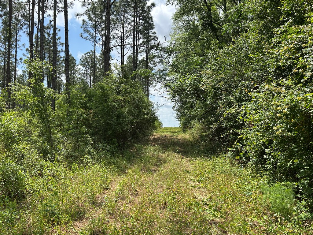 10907-44 -ac) Cty Road Hartford, AL 36344 - Photo 37 of 52