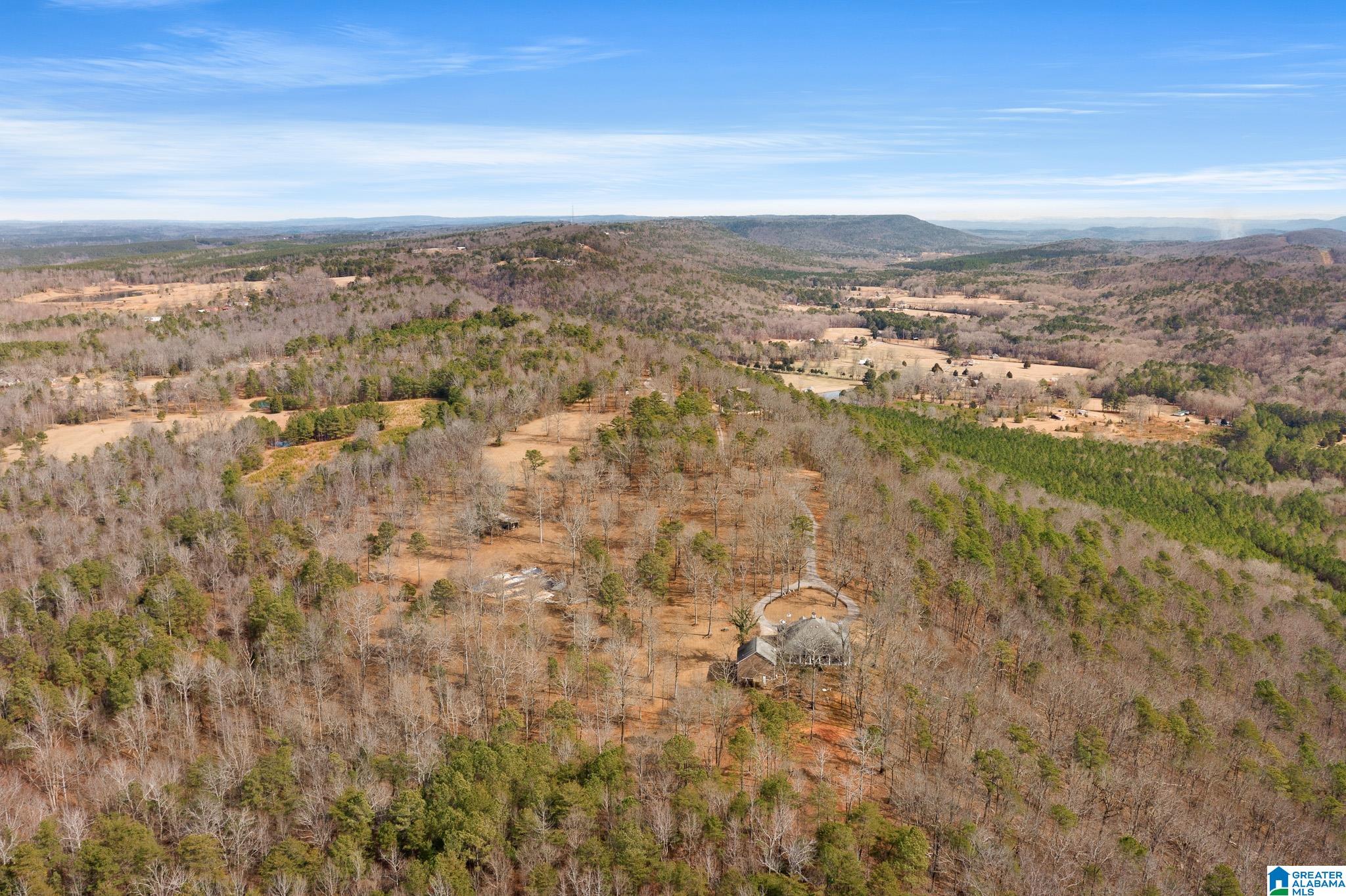 575 Mountain View Lane Springville, AL 35146 - Photo 81 of 84