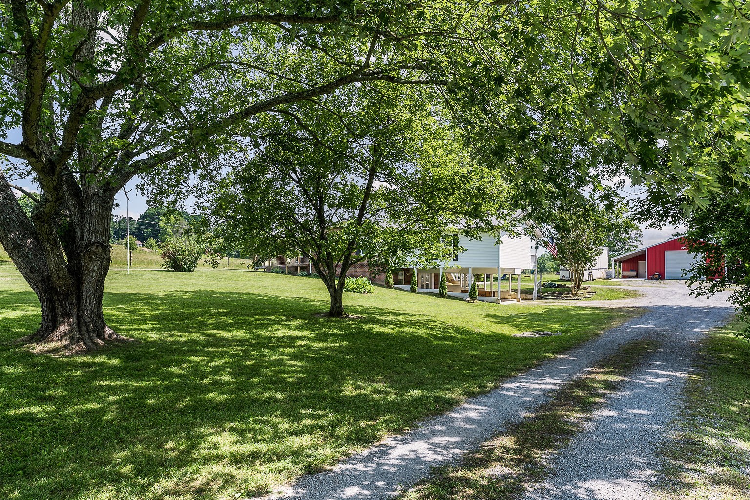 1514 Jefferson Road Smithville, TN 37166 - Photo 42 of 53 a view of a tree in front of a house
