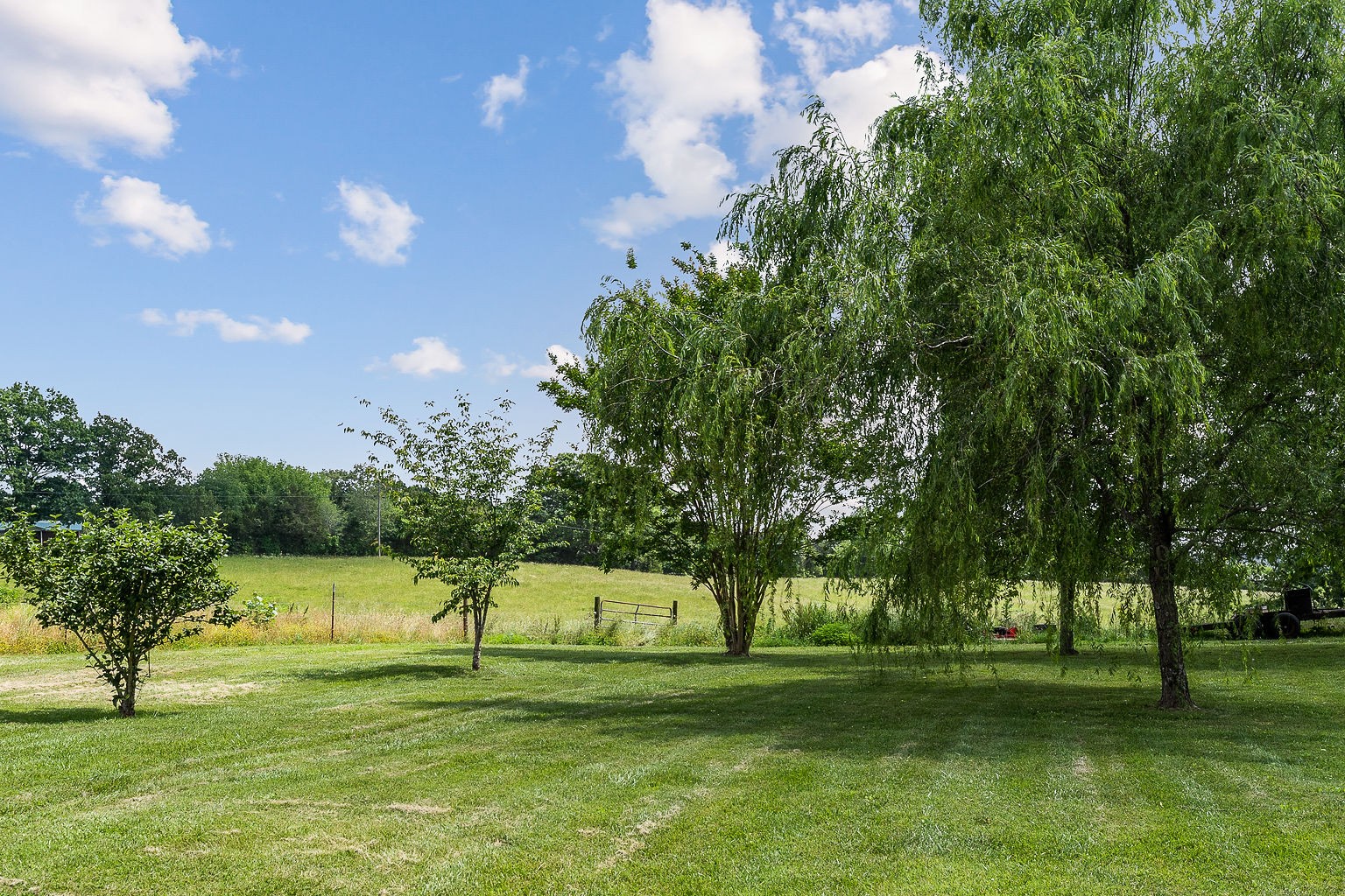 1514 Jefferson Road Smithville, TN 37166 - Photo 46 of 53 a view of a golf course