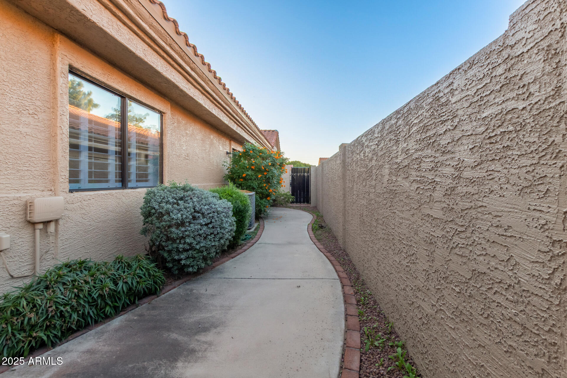 45 East 9th Place, Unit 80 Mesa, AZ 85201 - Photo 36 of 38 a view of a backyard with plants