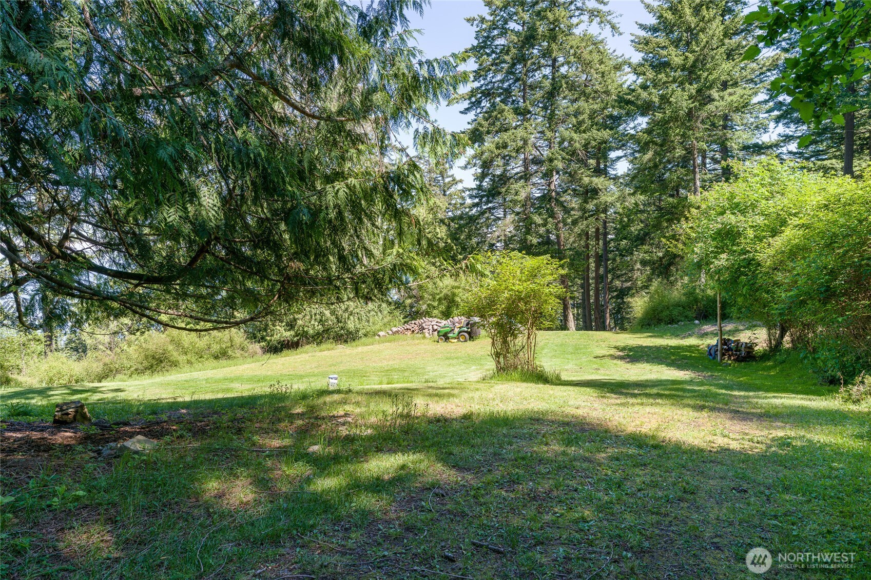 463 Wright Road Orcas Island, WA 98245 - Photo 17 of 40 a view of a yard with a tree
