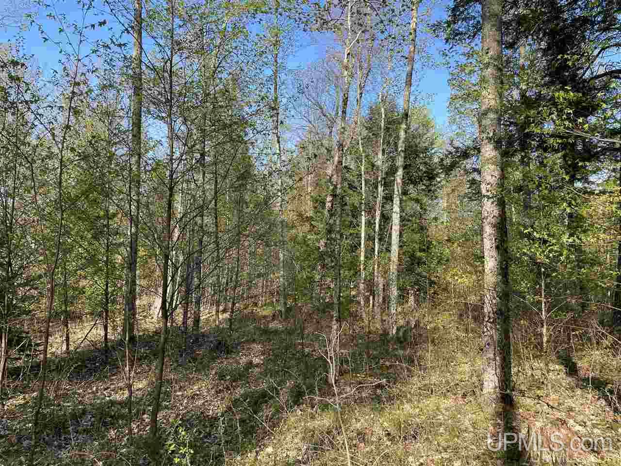 Tbd Sand Road, Unit 1 Powers, MI 49874 - Photo 30 of 47 Gallery Image 30