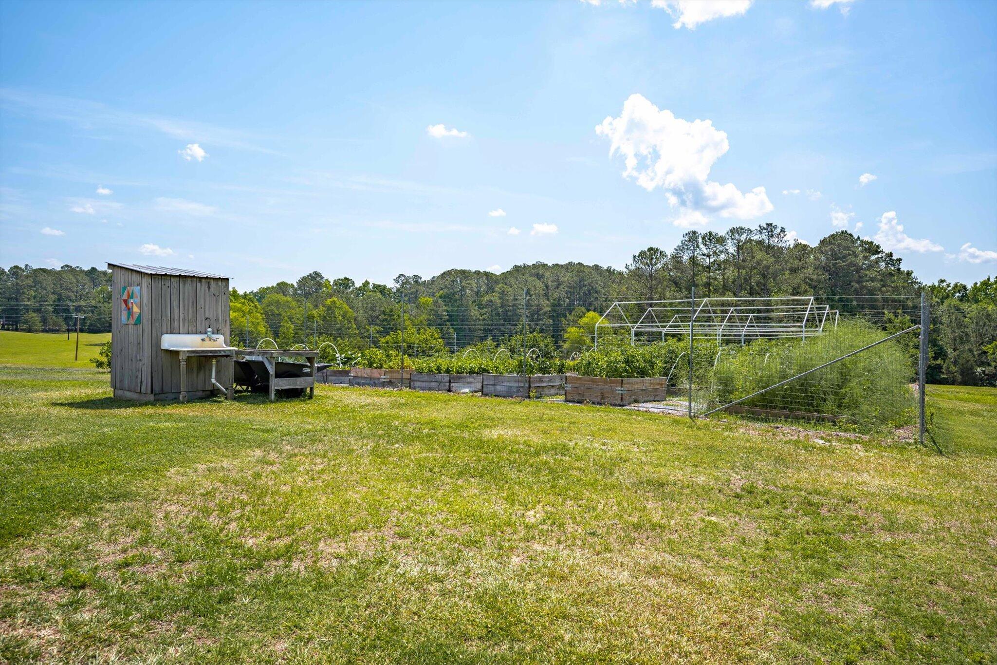 153 Barksdale Ferry Road McCormick, SC 29835 - Photo 50 of 90