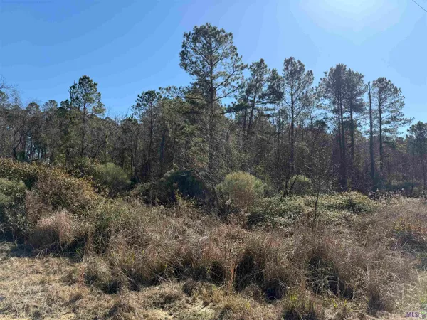 $60,000 | Lot 5 Texas Street, Livingston, LA 70754