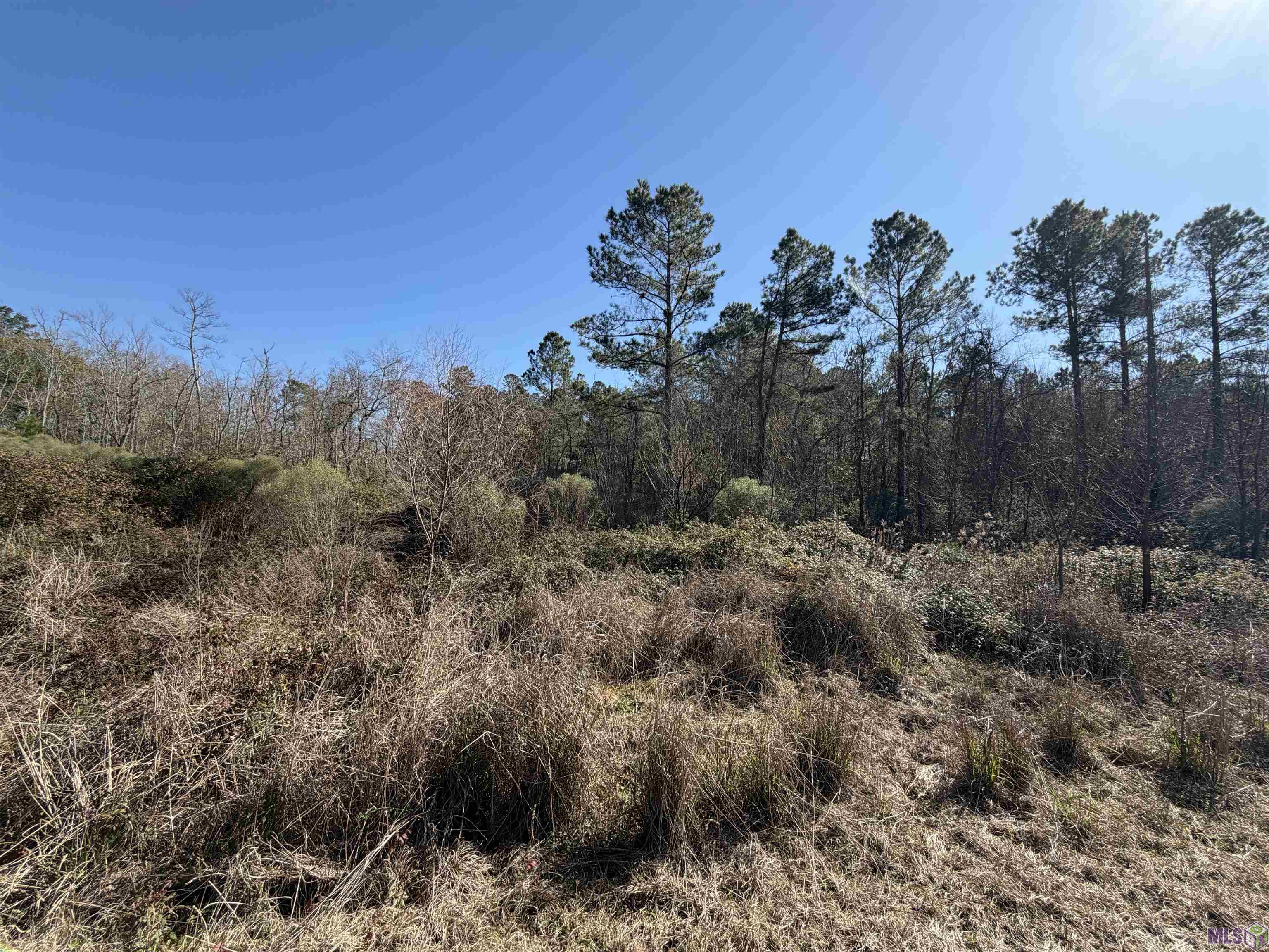 Lot 5 Texas Street Livingston, LA 70754 - Photo 2 of 5