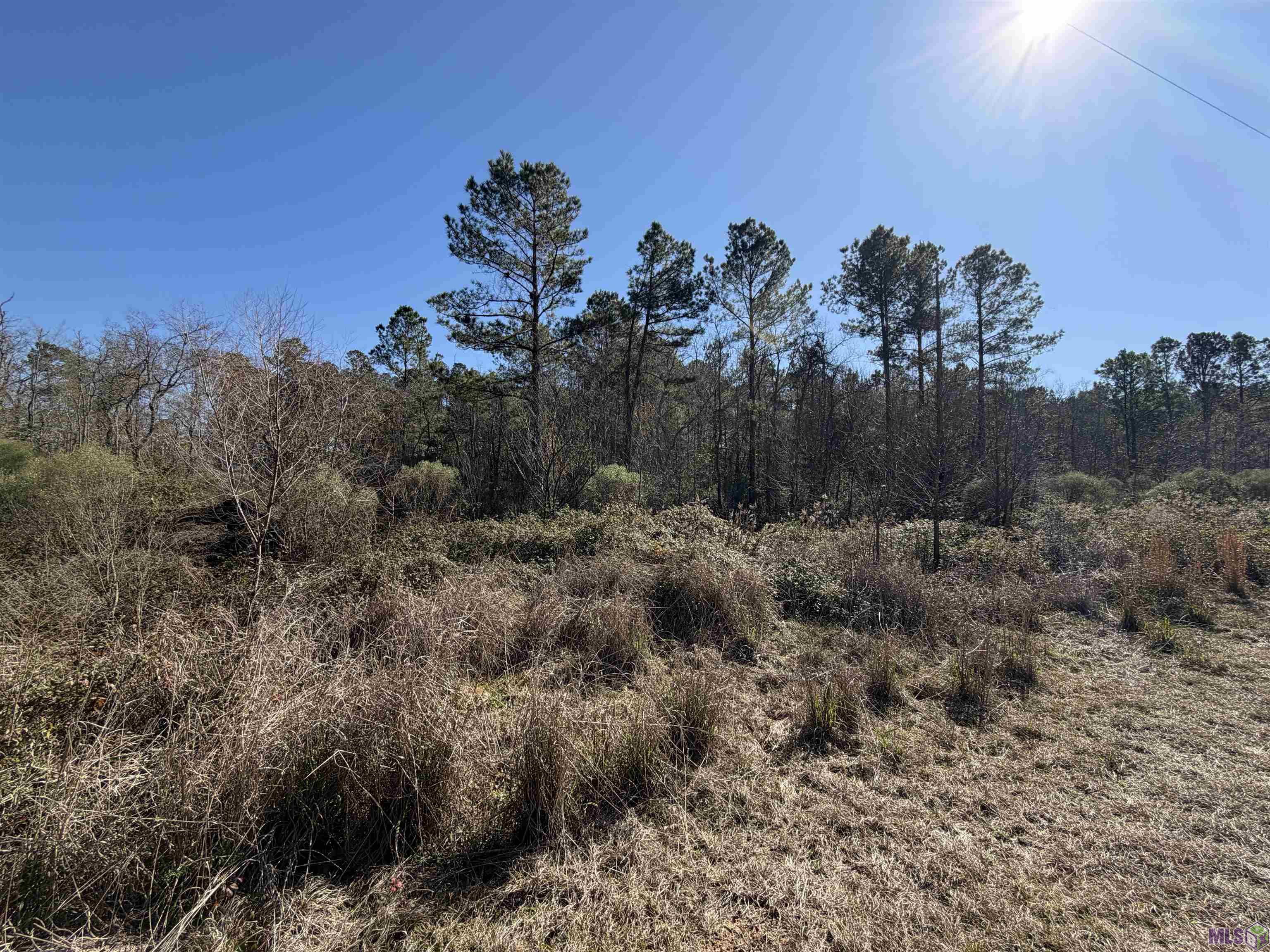 Lot 5 Texas Street Livingston, LA 70754 - Photo 3 of 5