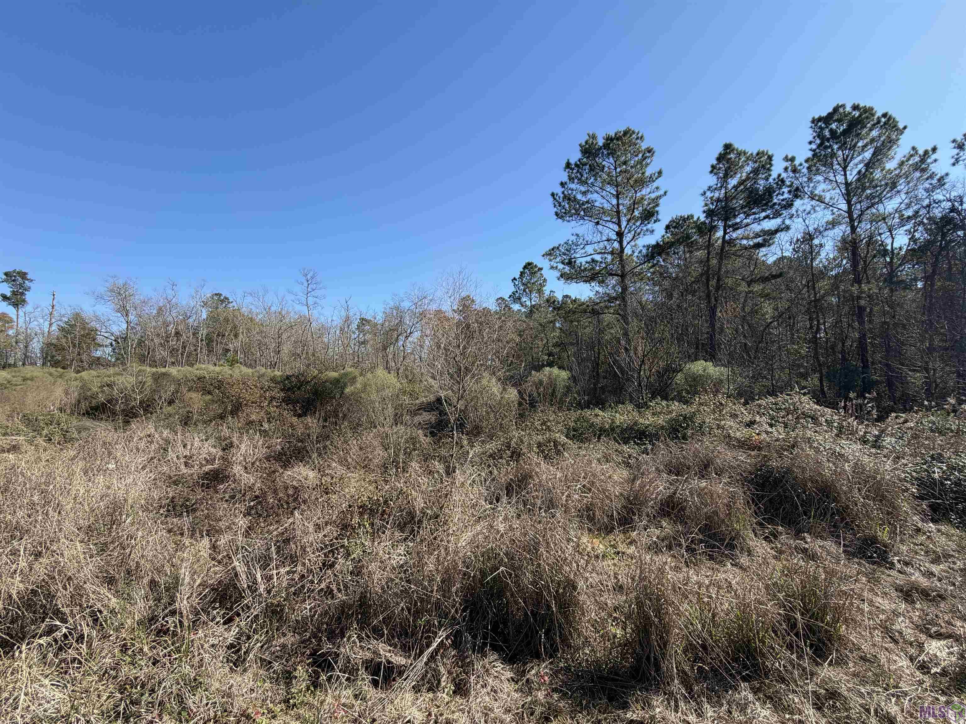 Lot 5 Texas Street Livingston, LA 70754 - Photo 4 of 5