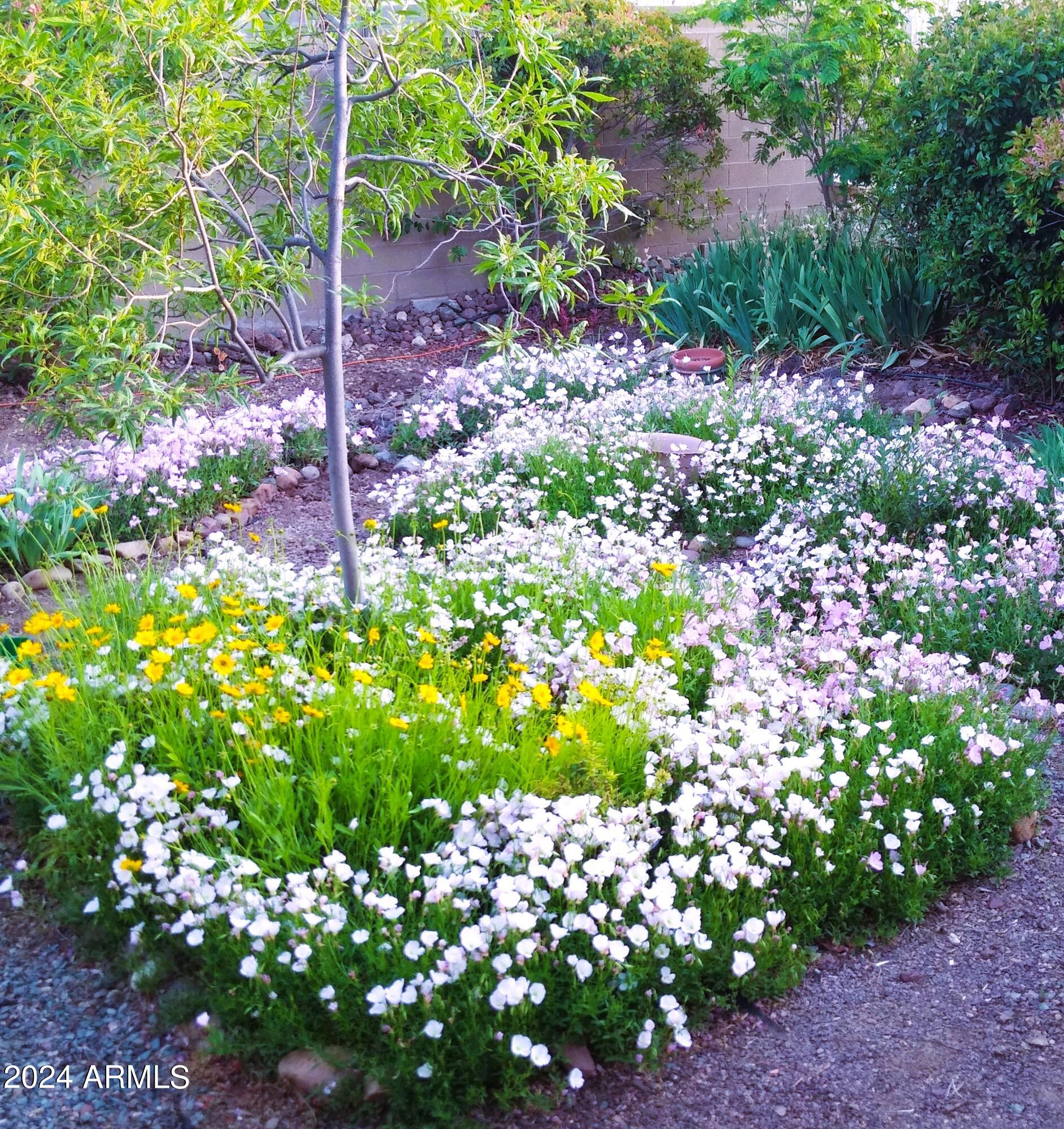 3442 North Tower Road Prescott Valley, AZ 86314 - Photo 49 of 64 Barn - Summer Garden