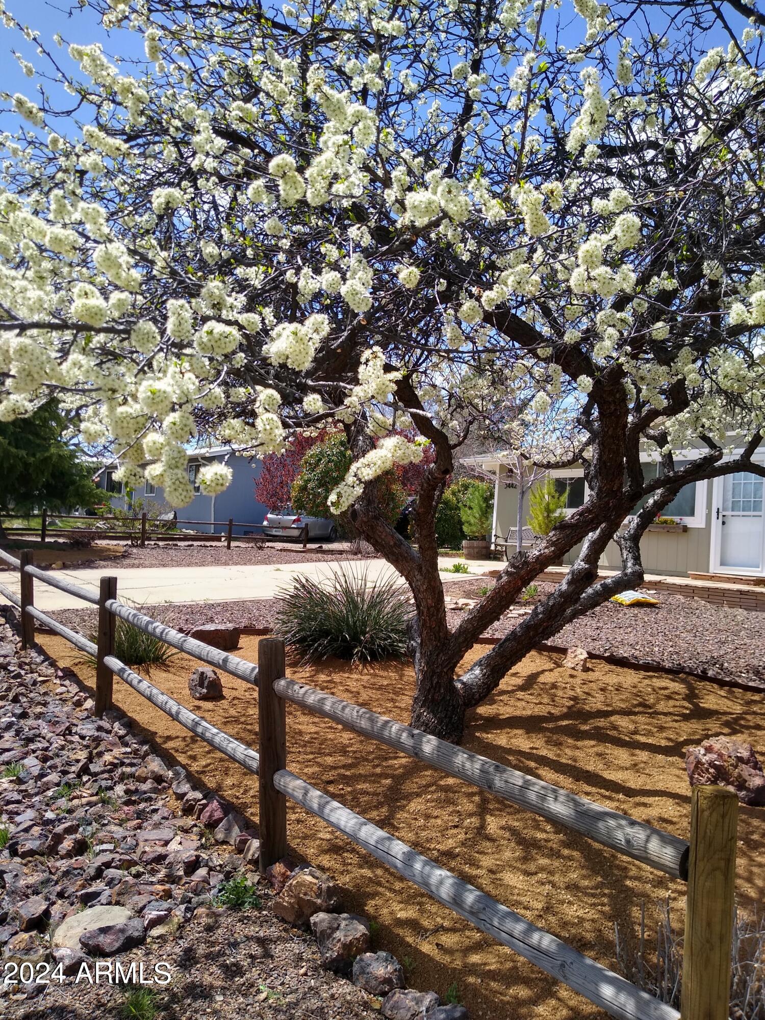 3442 North Tower Road Prescott Valley, AZ 86314 - Photo 50 of 64 Front yard- blooming plum