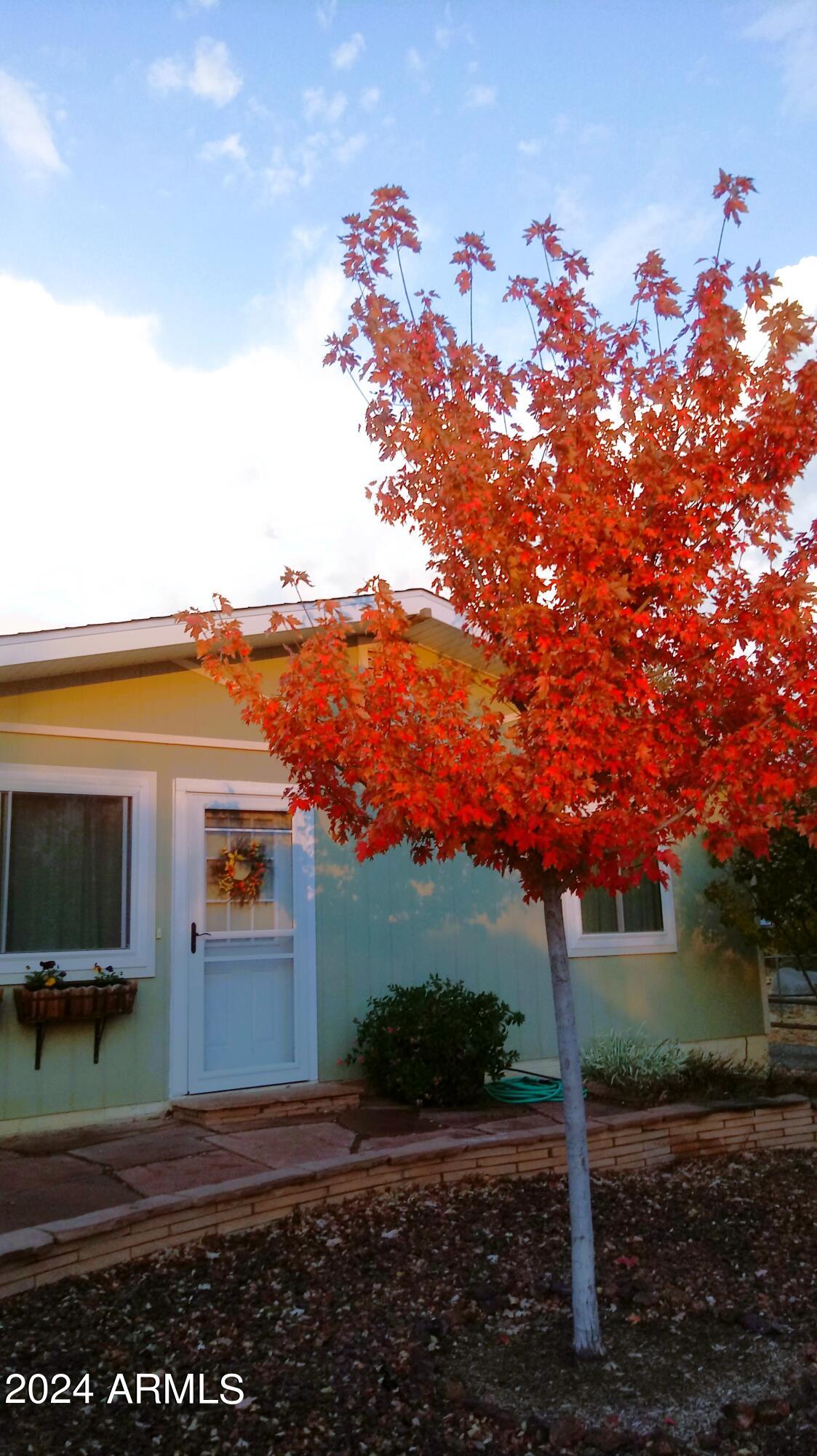 3442 North Tower Road Prescott Valley, AZ 86314 - Photo 54 of 64 House Front Yard Fall-Maple Tree