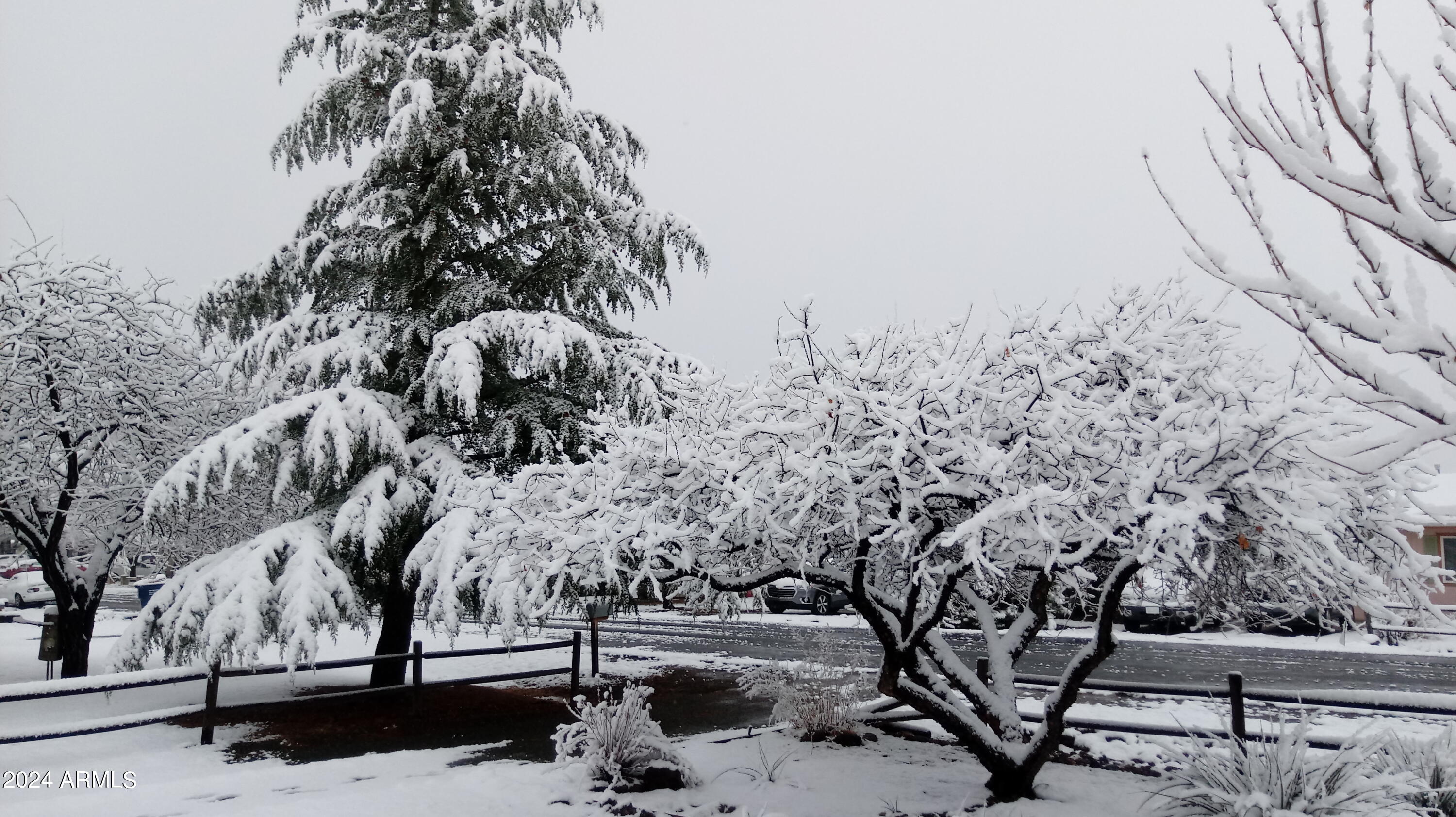 3442 North Tower Road Prescott Valley, AZ 86314 - Photo 61 of 64 House Front Yard View of Trees - Winter
