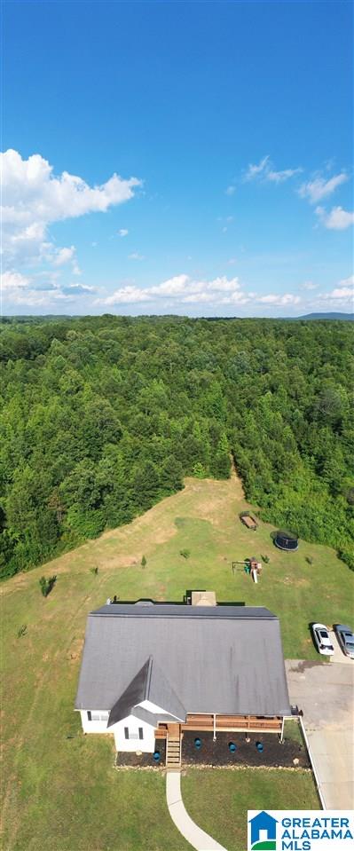 445 County Road 79 Heflin, AL 36264 - Photo 36 of 42
