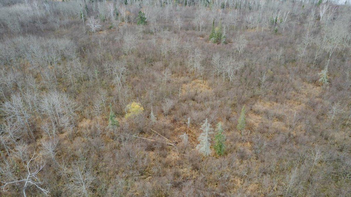 8301 Camp Amnicon Road South Range, WI 54874 - Photo 3 of 9