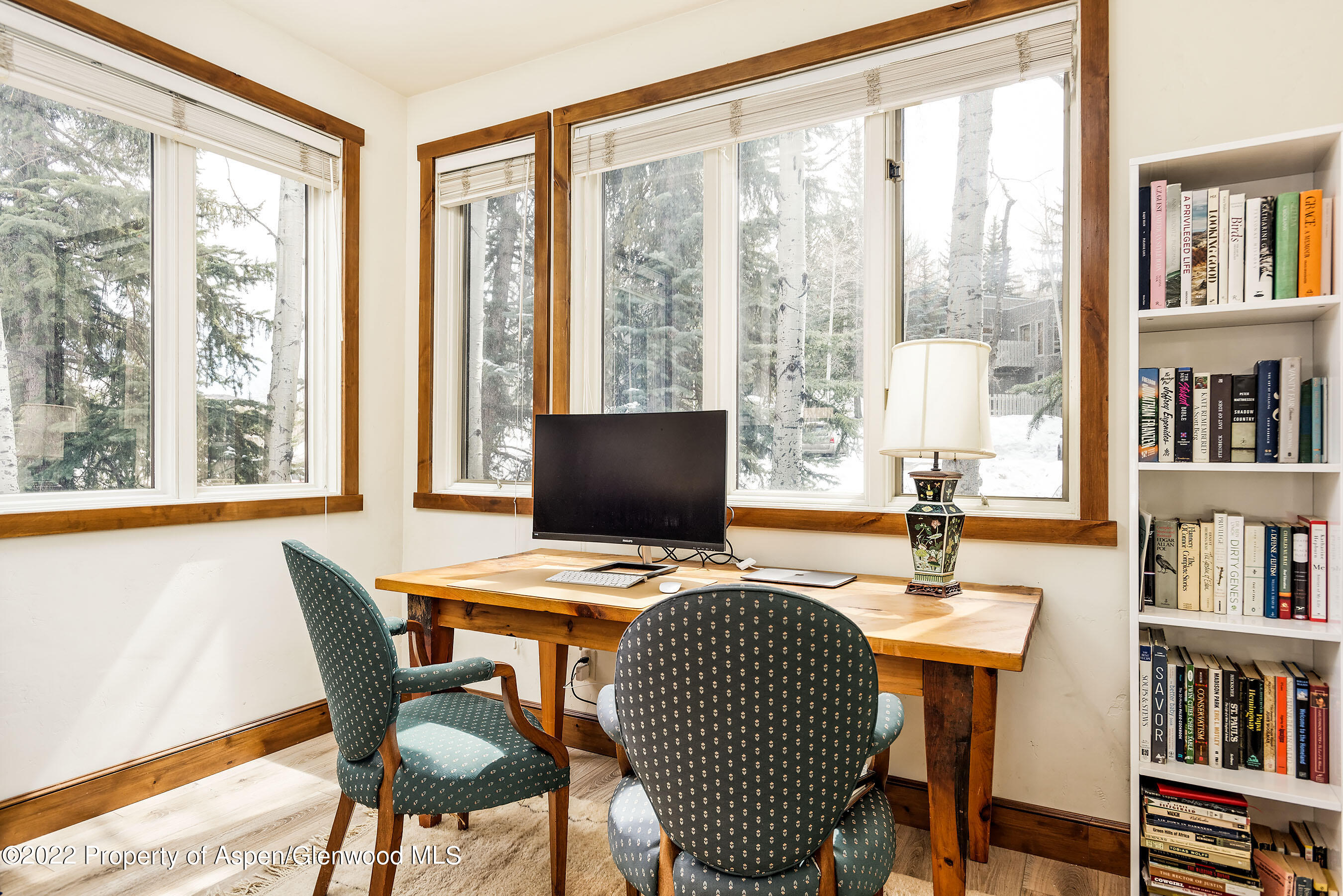 232 Meadow Ranch Road Snowmass Village, CO 81615 - Photo 14 of 19 Office