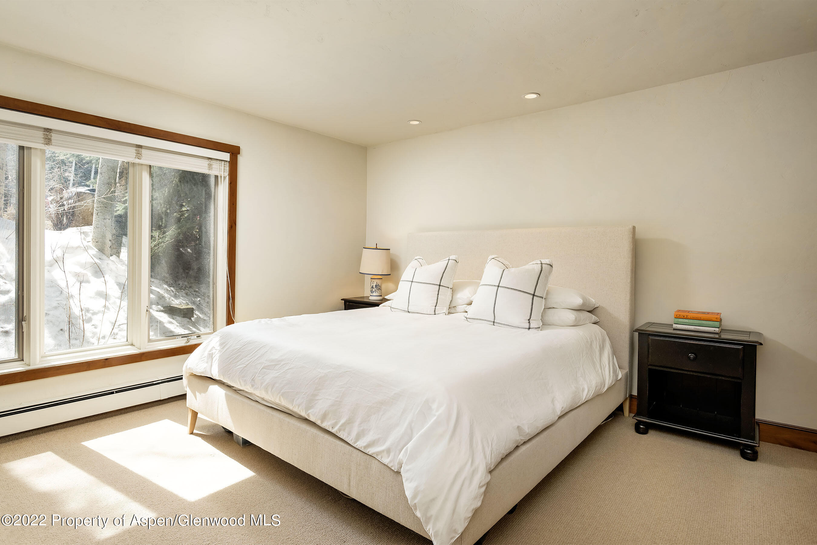 232 Meadow Ranch Road Snowmass Village, CO 81615 - Photo 7 of 19 Primary Bedroom