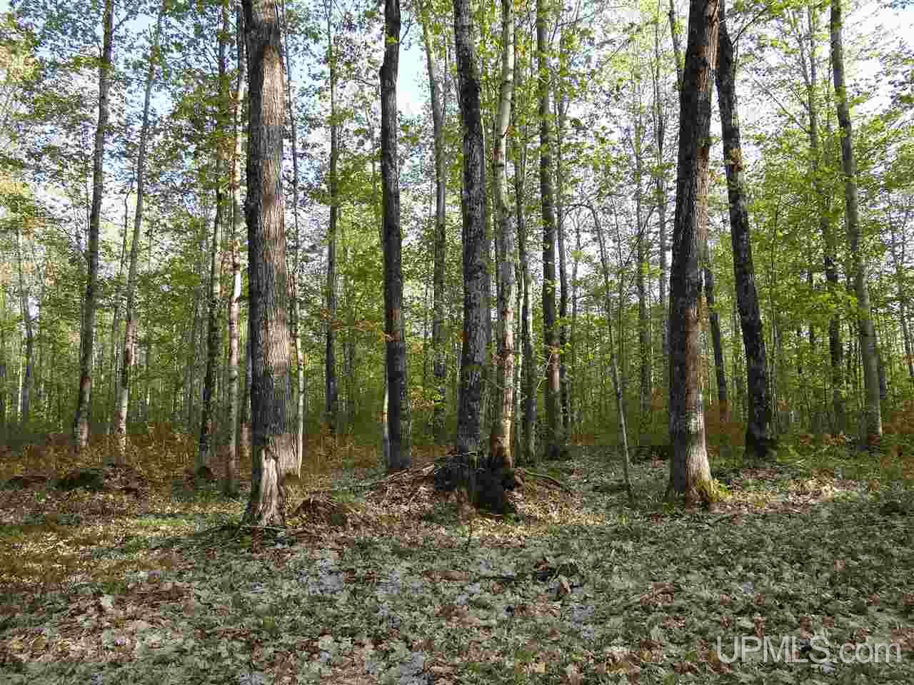 Tbd Off Coles Creek Road, Unit PARCEL 12 Hancock, MI 49931 - Photo 12 of 15