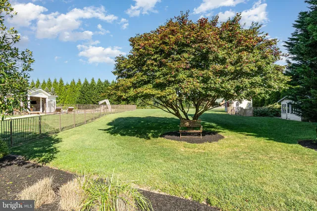a view of a garden with trees