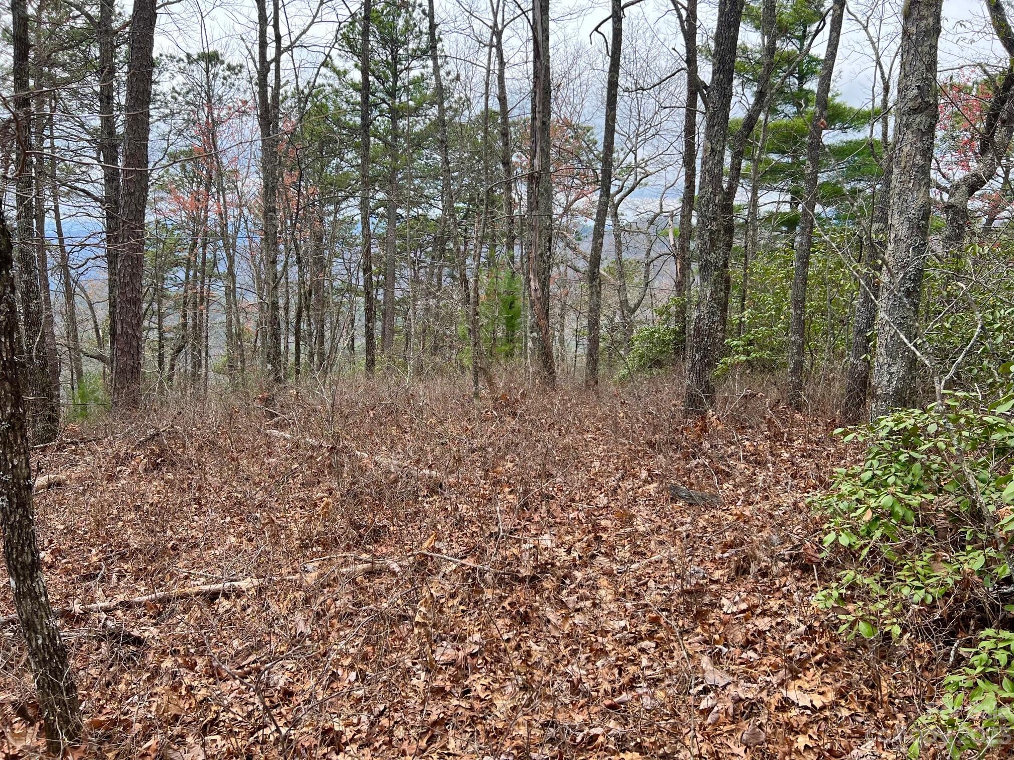 76 R Oak Laurel Road, Unit 74&76R Brevard, NC 28712 - Photo 9 of 27 Gallery Image 9