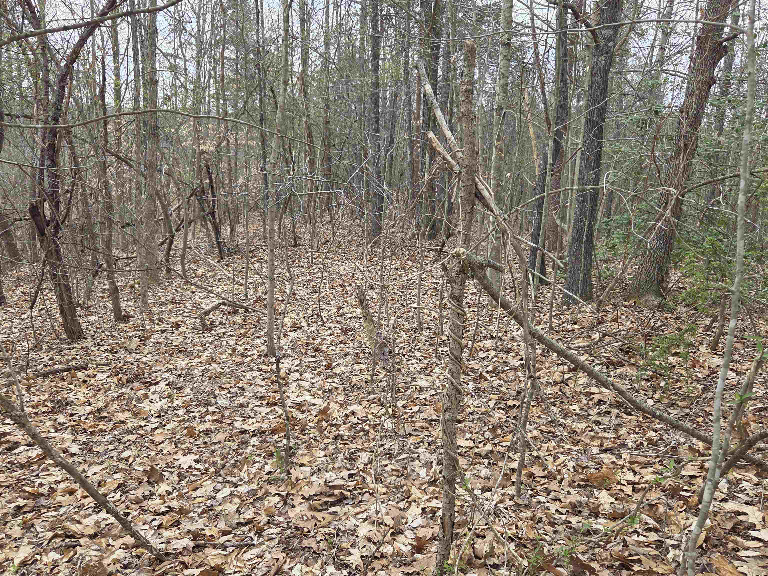 Kiser Fork Road Olive Hill, KY 41164 - Photo 44 of 46 Gallery Image 44