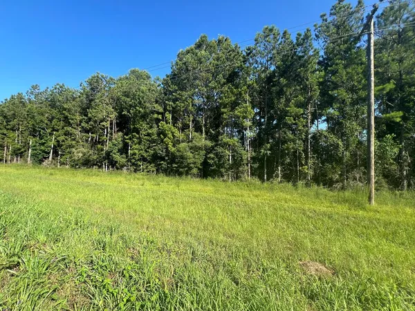 $29,000 | 44 Highway 44, Jayess, MS 39641