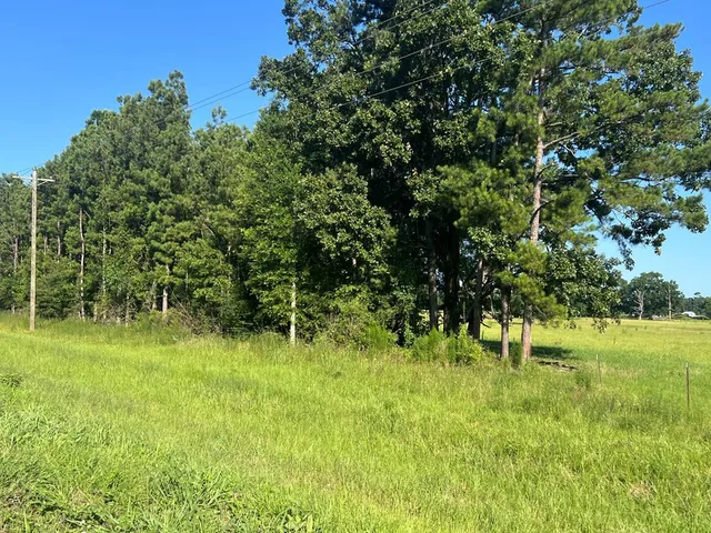 $35,000 | 44 Highway 44, Jayess, MS 39641