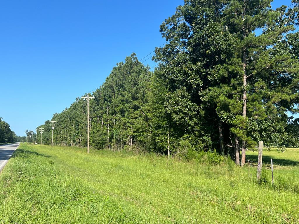 44 Highway 44 Jayess, MS 39641 - Photo 3 of 4 Photo 3