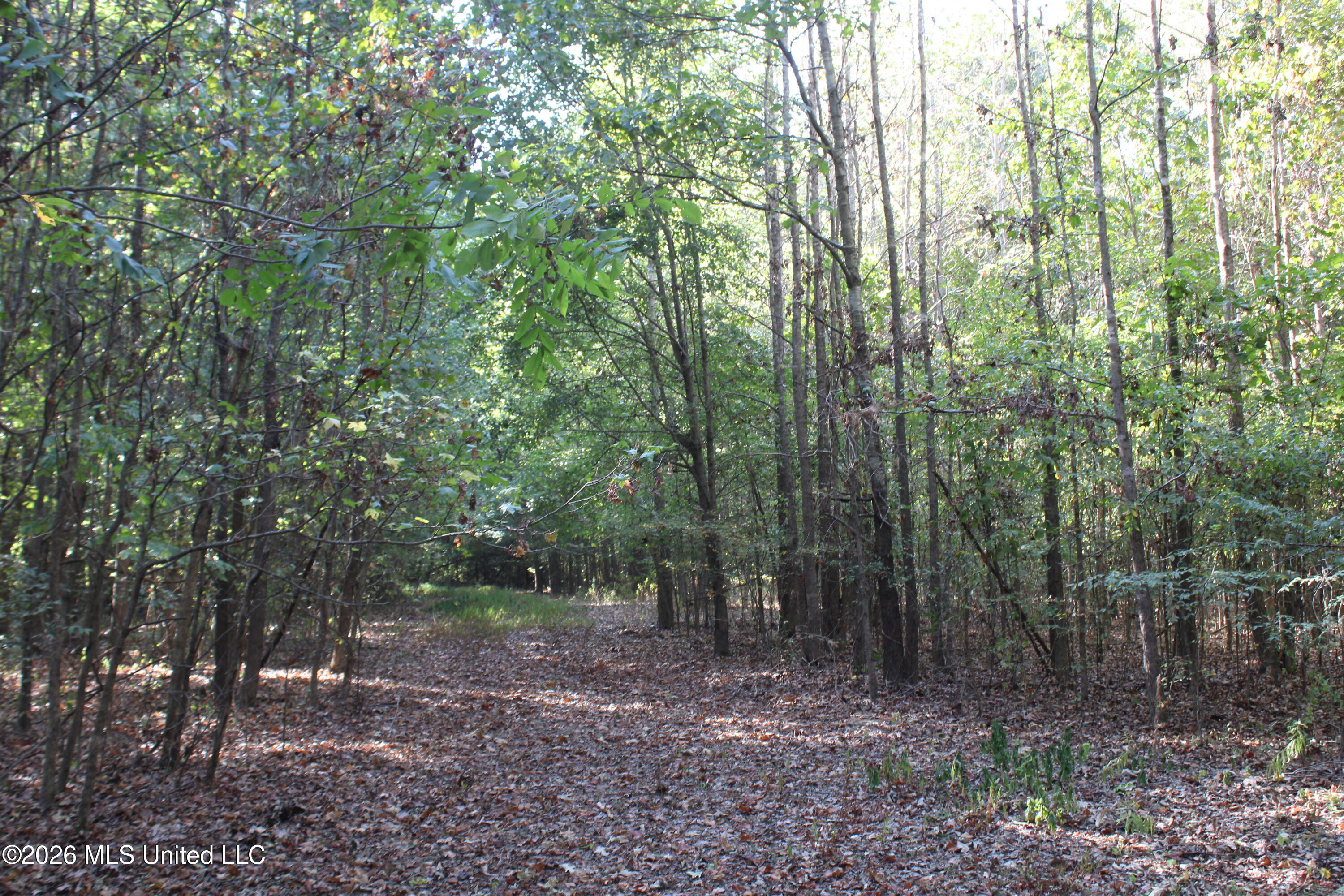 15 Tulane Road Nesbit, MS 38651 - Photo 22 of 64 IMG_8237