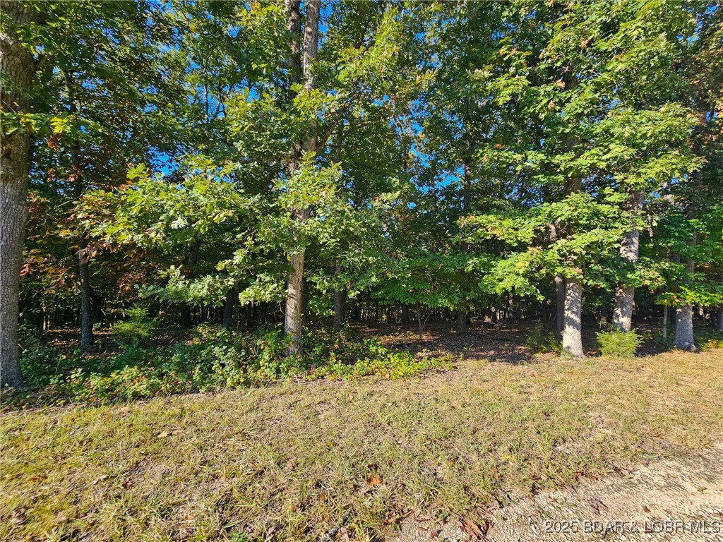 Lot #1060 Bittersweet Road Four Seasons, MO 65049 - Photo 3 of 14