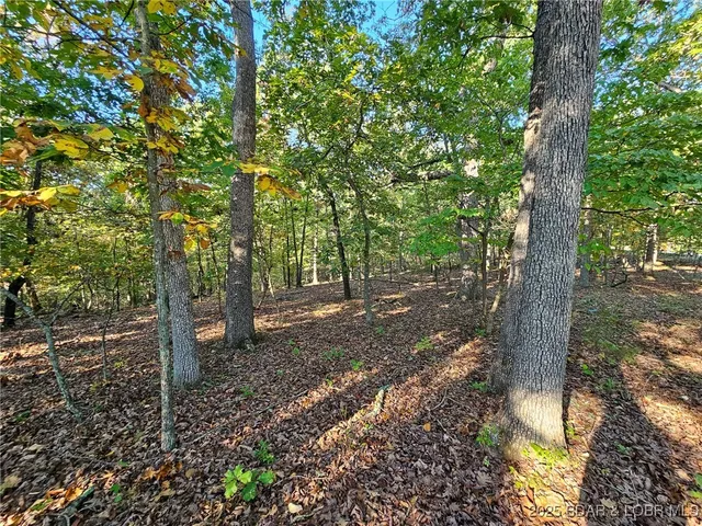 $13,500 | Lot #1060 Bittersweet Road, Four Seasons, MO 65049